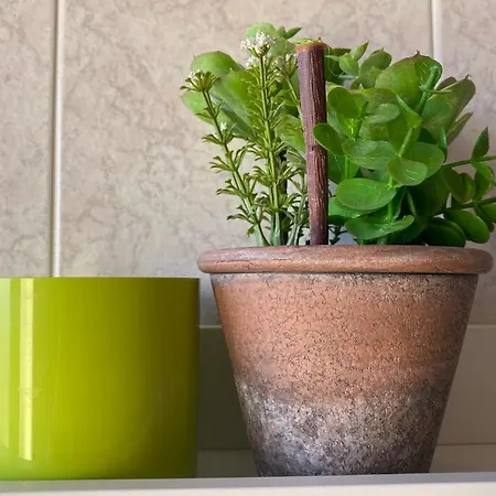 Apartmán Domomea - Domusdea *